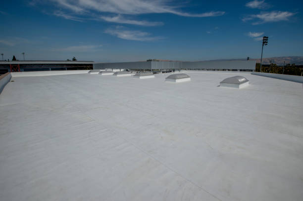 Best Skylight Installation and Repair  in Rio, VA