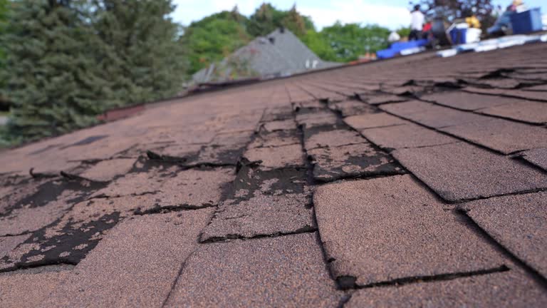 Best Roof Coating and Sealing  in Rio, VA