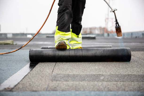 Best Roof Insulation Installation  in Rio, VA