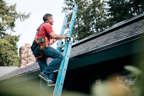 Best Solar Panel Roofing Installation  in Rio, VA